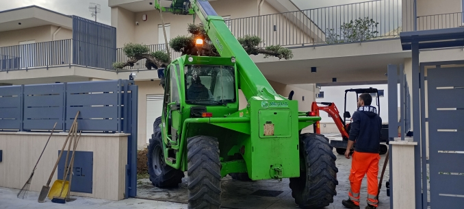 - soc. agr. eurogarden Forchia!